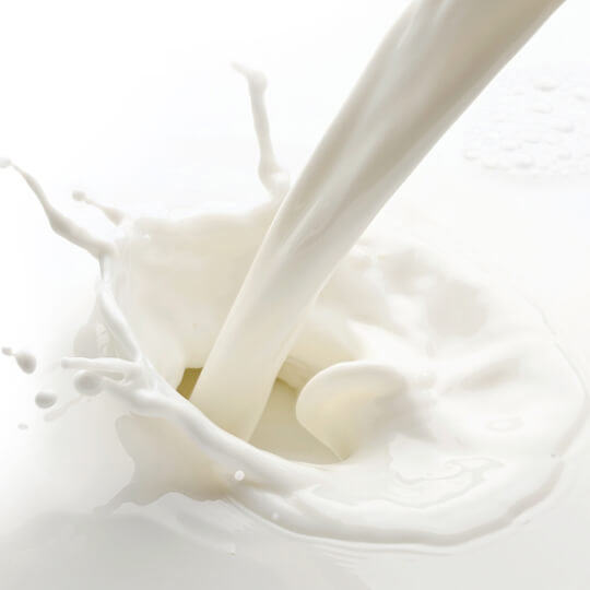 proteine latte