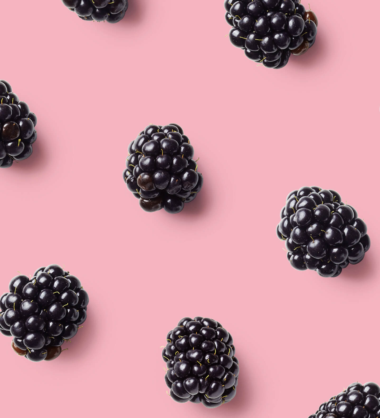 blackberries