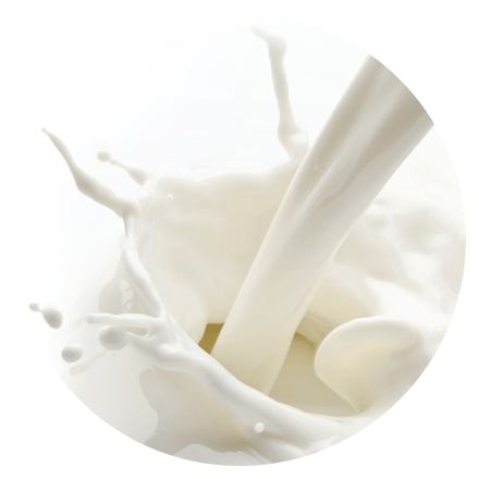 smoothies milk shake proteine latte ingredienti desktop x