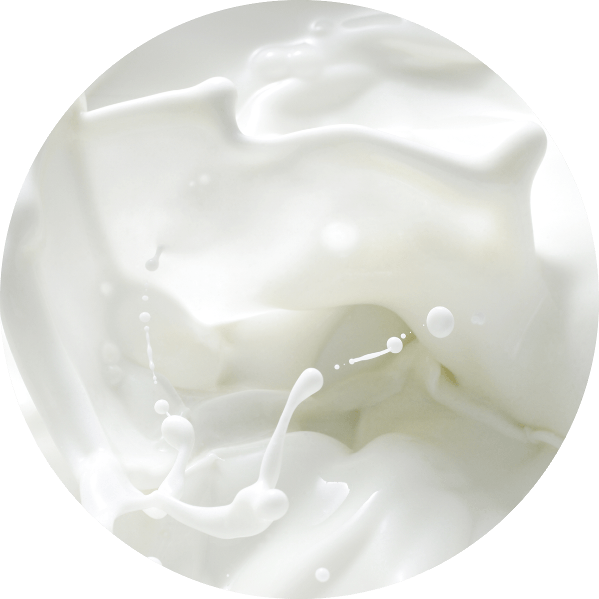 IMG x landing attivi