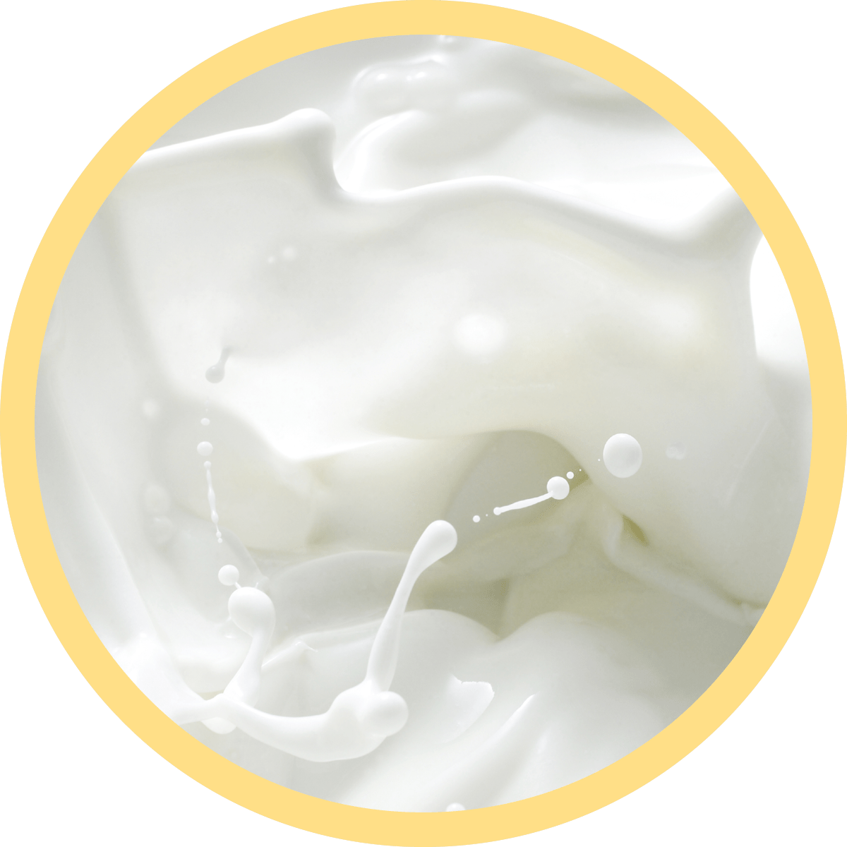 IMG x landing attivi