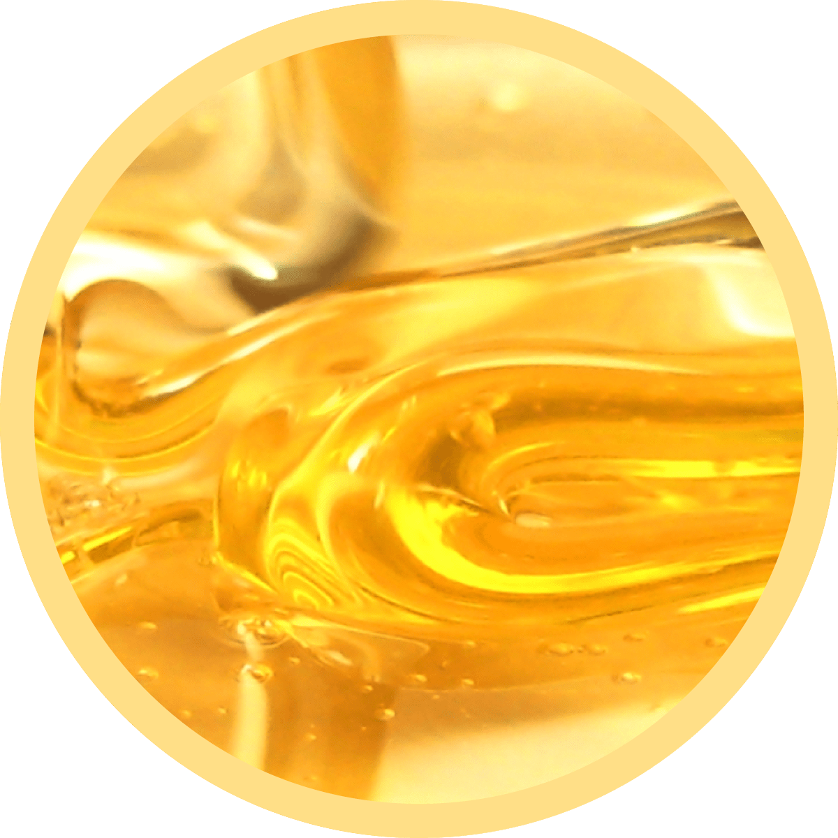 IMG x landing attivi