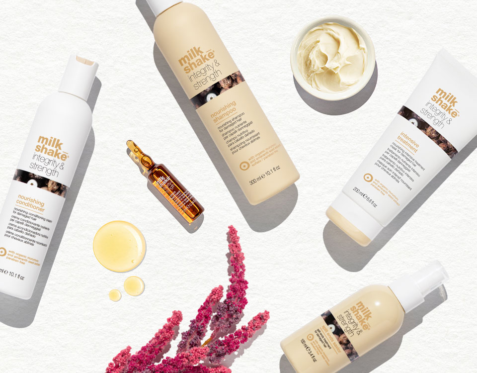 MS INTEGRITY&STRENGHTMS img xpx homepage