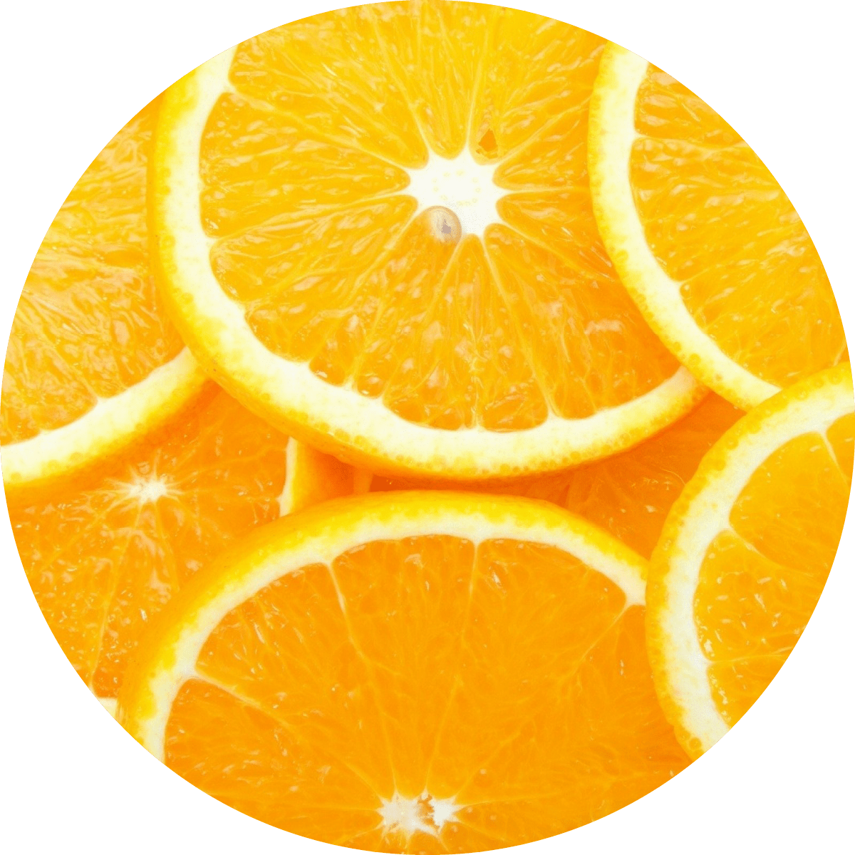 IMG x landing attivi