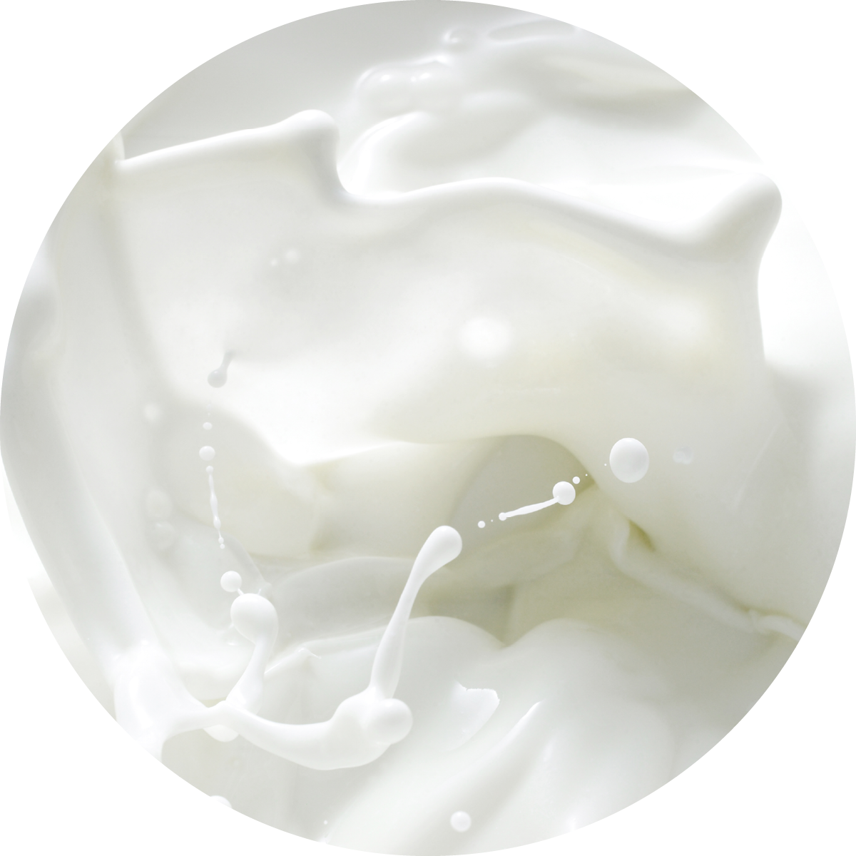 IMG x landing attivi