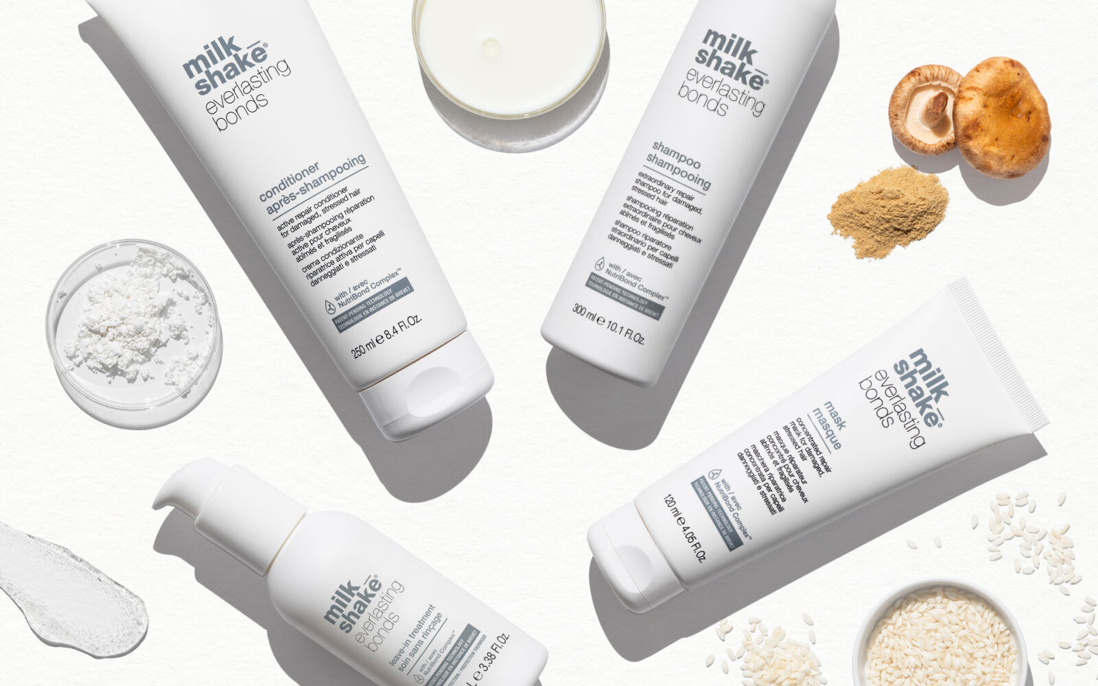 IMG xpx landing header dekstop