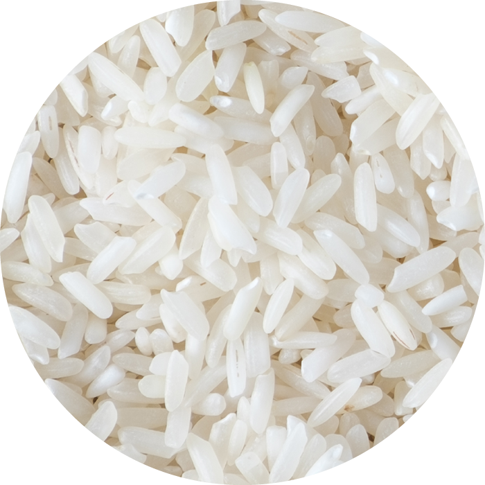 IMG x landing attivi